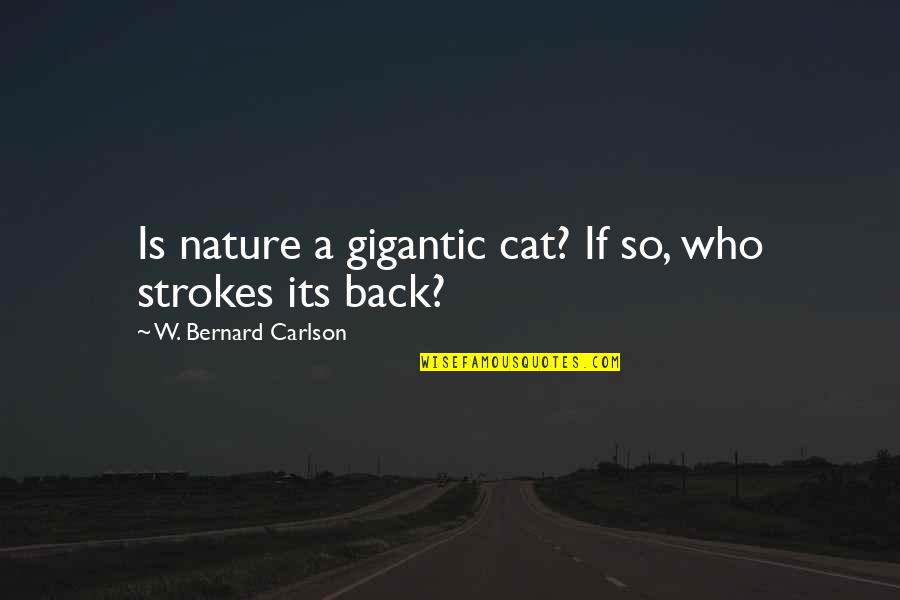 Sluicing Water Quotes By W. Bernard Carlson: Is nature a gigantic cat? If so, who