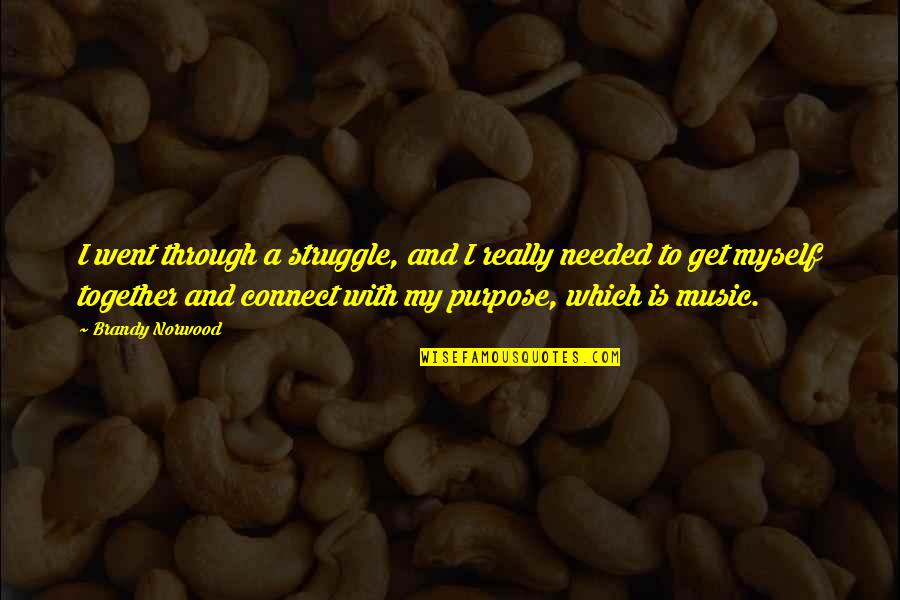 Slumber Party Supernatural Quotes By Brandy Norwood: I went through a struggle, and I really Slumber Party Supernatural Quotes By Brandy Norwood: I went through a struggle, and I really