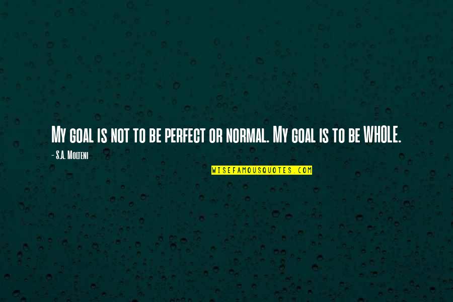 Slusarski Footballer Quotes By S.A. Molteni: My goal is not to be perfect or