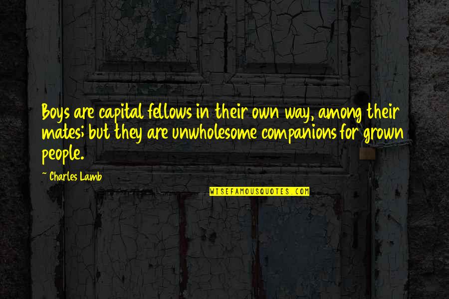 Slyer Quotes By Charles Lamb: Boys are capital fellows in their own way,