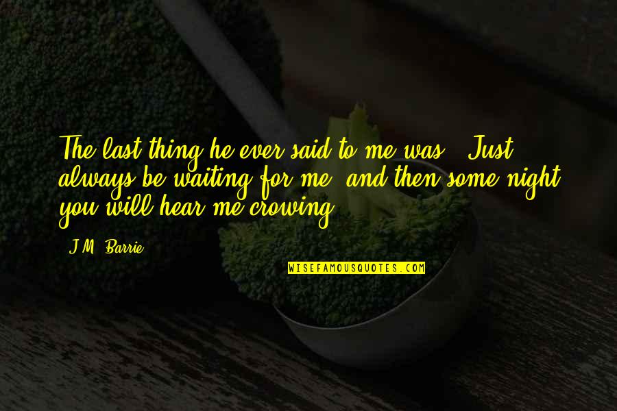 Slyter Magnuson Quotes By J.M. Barrie: The last thing he ever said to me