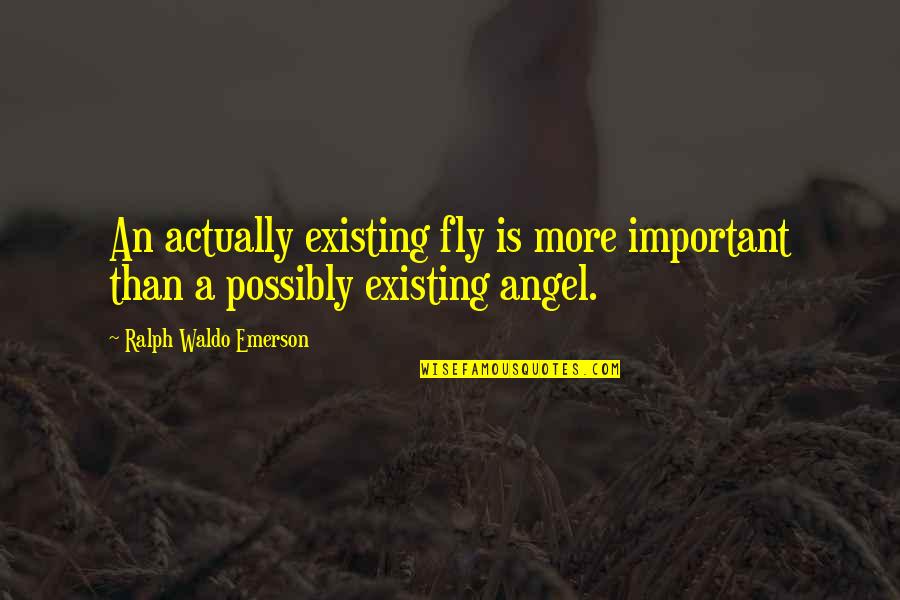 Smae Quotes By Ralph Waldo Emerson: An actually existing fly is more important than