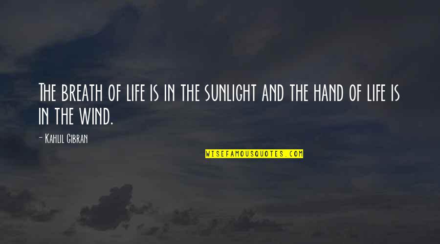 Small Achievement In Life Quotes By Kahlil Gibran: The breath of life is in the sunlight