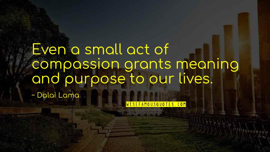 Small Acts Quotes By Dalai Lama: Even a small act of compassion grants meaning