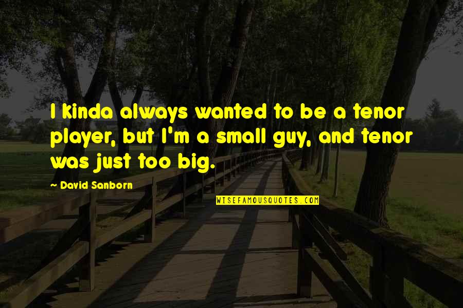 Small And Big Quotes By David Sanborn: I kinda always wanted to be a tenor