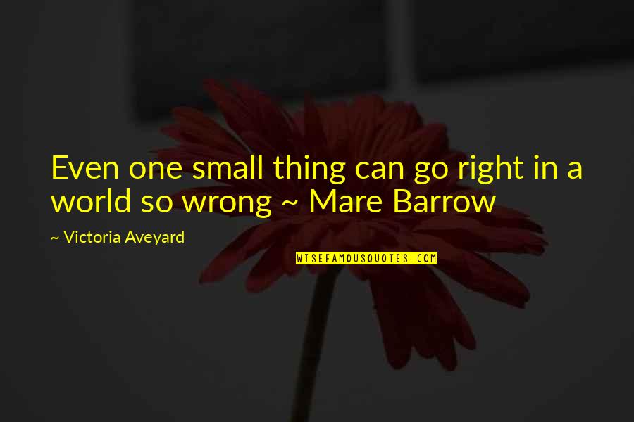 Small And Wrong Quotes By Victoria Aveyard: Even one small thing can go right in