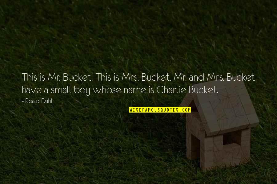Small Boy Quotes By Roald Dahl: This is Mr. Bucket. This is Mrs. Bucket. Small Boy Quotes By Roald Dahl: This is Mr. Bucket. This is Mrs. Bucket.