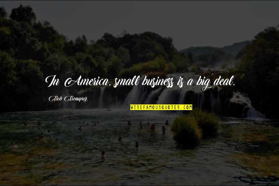 Small Business Vs Big Business Quotes By Bob Beauprez: In America, small business is a big deal.