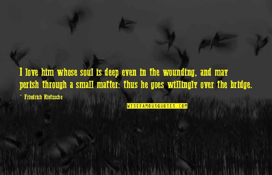 Small But Deep Quotes By Friedrich Nietzsche: I love him whose soul is deep even