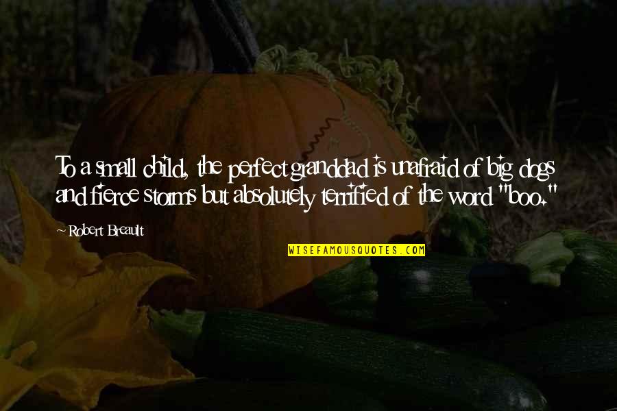 Small But Fierce Quotes By Robert Breault: To a small child, the perfect granddad is