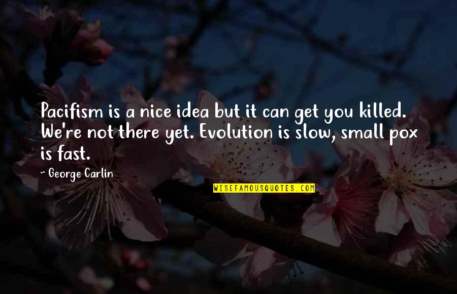 Small But Nice Quotes By George Carlin: Pacifism is a nice idea but it can