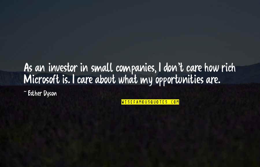 Small Companies Quotes By Esther Dyson: As an investor in small companies, I don't