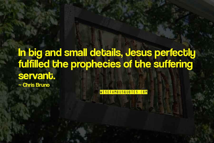 Small Details Quotes By Chris Bruno: In big and small details, Jesus perfectly fulfilled