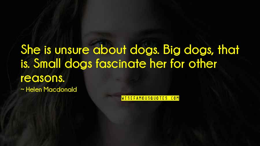 Small Dogs Quotes By Helen Macdonald: She is unsure about dogs. Big dogs, that