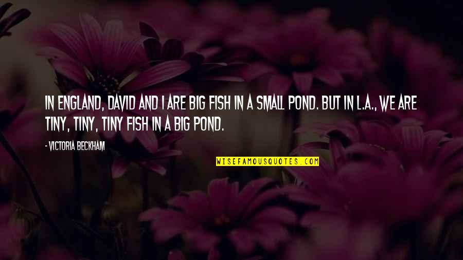 Small Fish Big Pond Quotes By Victoria Beckham: In England, David and I are big fish