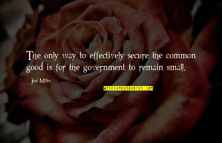Small Government Quotes By Joel Miller: The only way to effectively secure the common