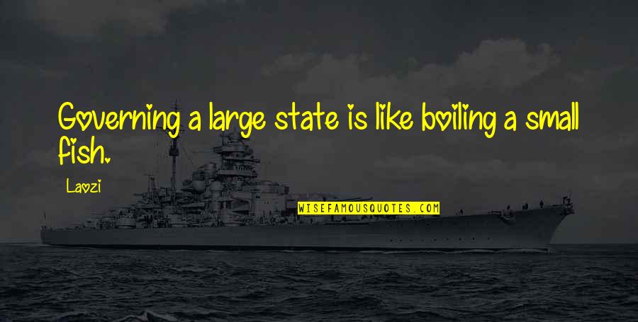 Small Government Quotes By Laozi: Governing a large state is like boiling a