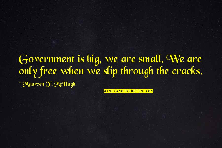 Small Government Quotes By Maureen F. McHugh: Government is big, we are small. We are
