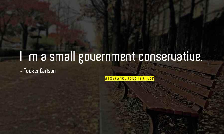 Small Government Quotes By Tucker Carlson: I'm a small government conservative.