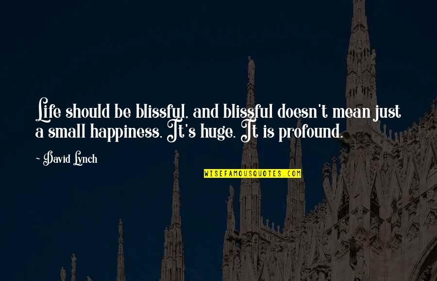 Small Happiness In Life Quotes By David Lynch: Life should be blissful, and blissful doesn't mean Small Happiness In Life Quotes By David Lynch: Life should be blissful, and blissful doesn't mean