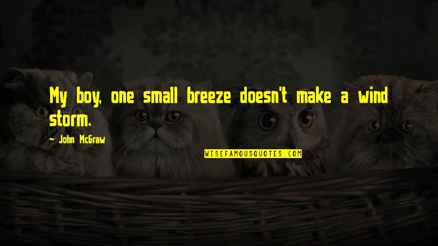 Small In Nature Quotes By John McGraw: My boy, one small breeze doesn't make a