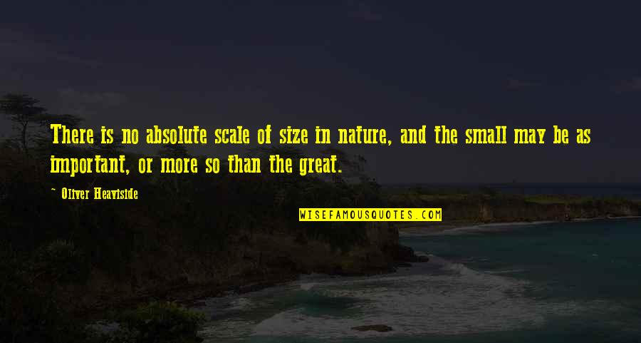 Small In Nature Quotes By Oliver Heaviside: There is no absolute scale of size in Small In Nature Quotes By Oliver Heaviside: There is no absolute scale of size in