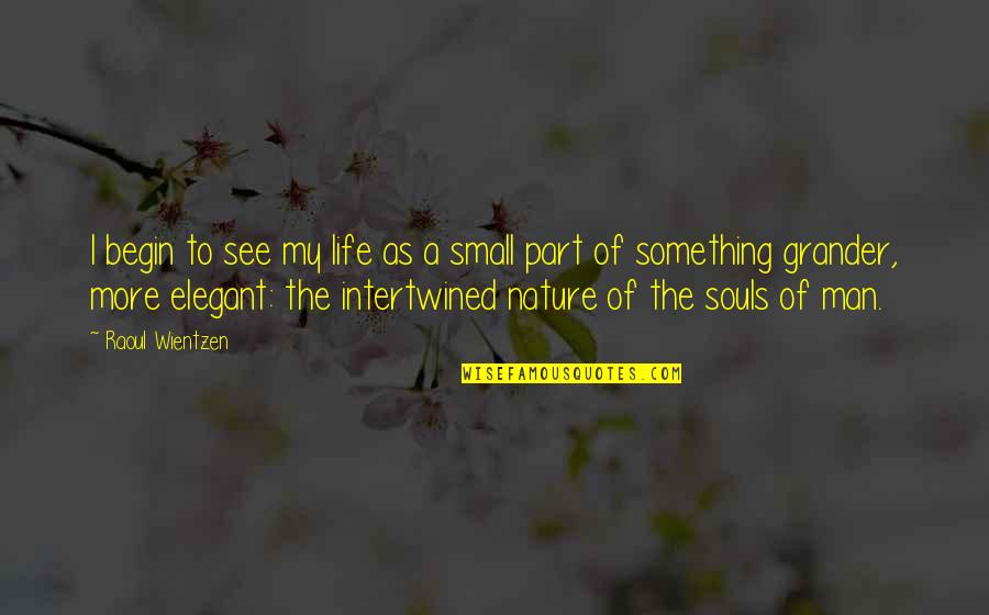 Small In Nature Quotes By Raoul Wientzen: I begin to see my life as a