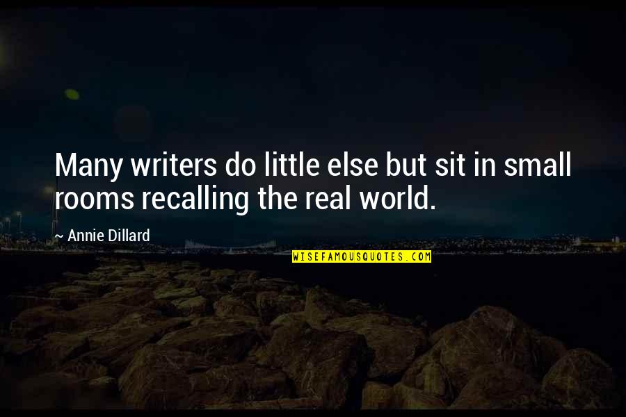 Small In The World Quotes By Annie Dillard: Many writers do little else but sit in