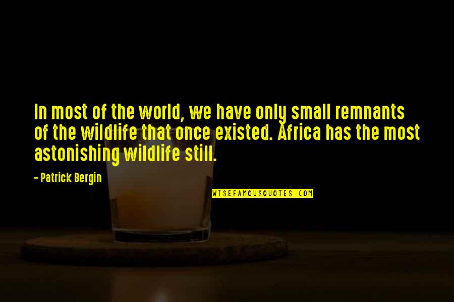 Small In The World Quotes By Patrick Bergin: In most of the world, we have only