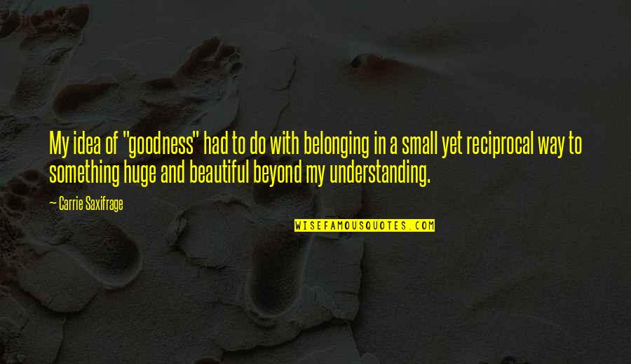 Small Is Beautiful Quotes By Carrie Saxifrage: My idea of "goodness" had to do with