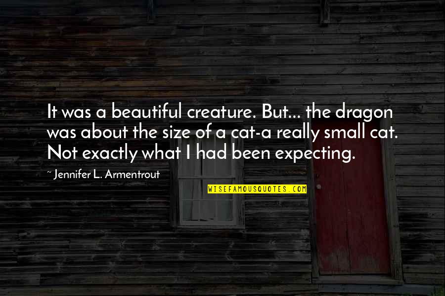 Small Is Beautiful Quotes By Jennifer L. Armentrout: It was a beautiful creature. But... the dragon