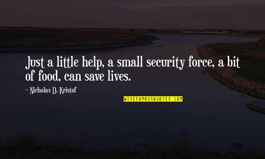 Small Little Quotes By Nicholas D. Kristof: Just a little help, a small security force,
