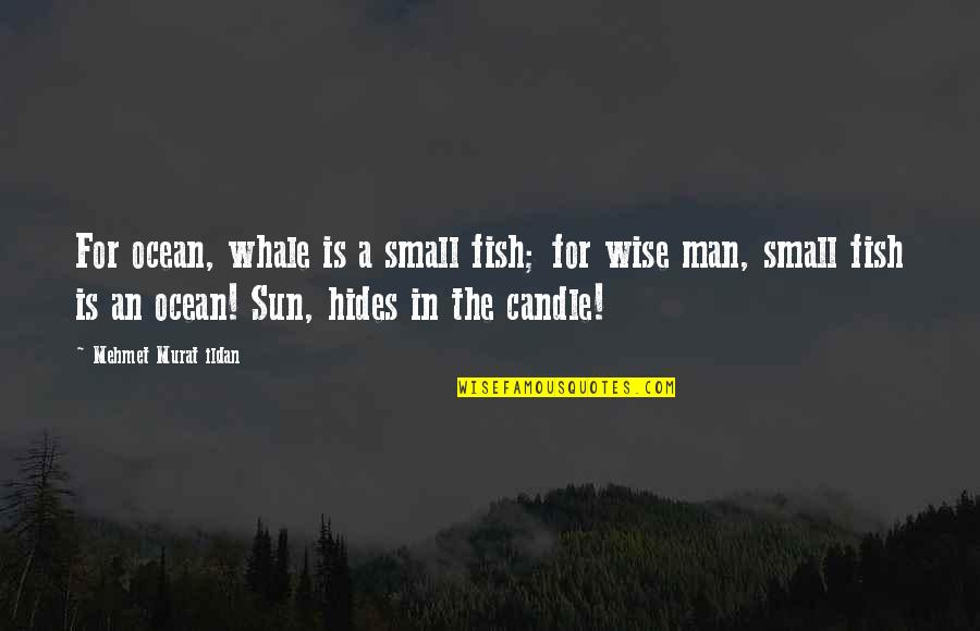 Small Man Quotes By Mehmet Murat Ildan: For ocean, whale is a small fish; for