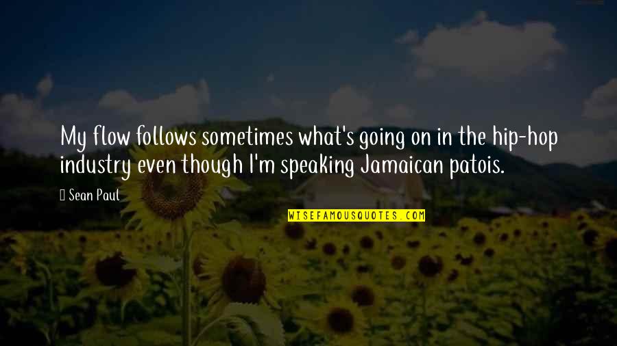 Small Man Syndrome Quotes By Sean Paul: My flow follows sometimes what's going on in