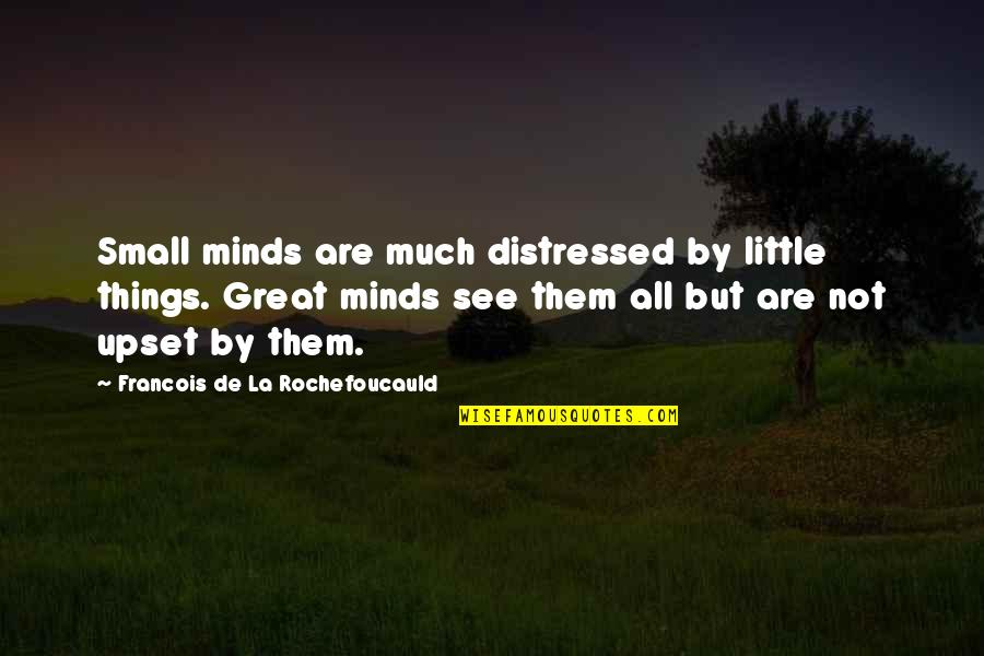 Small Mind Quotes By Francois De La Rochefoucauld: Small minds are much distressed by little things.