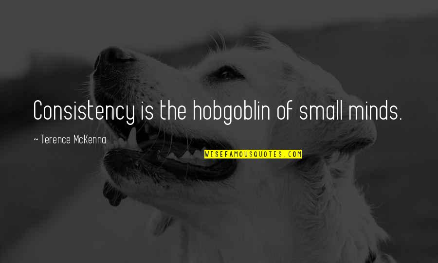 Small Mind Quotes By Terence McKenna: Consistency is the hobgoblin of small minds.