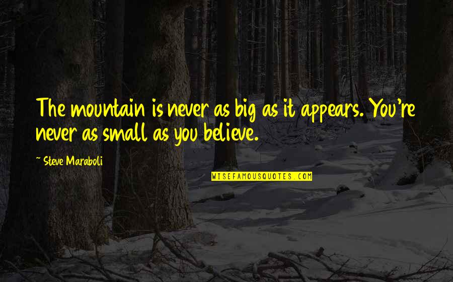 Small Mountain Quotes By Steve Maraboli: The mountain is never as big as it