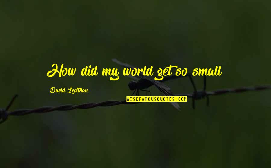 Small N Sad Quotes By David Levithan: How did my world get so small?