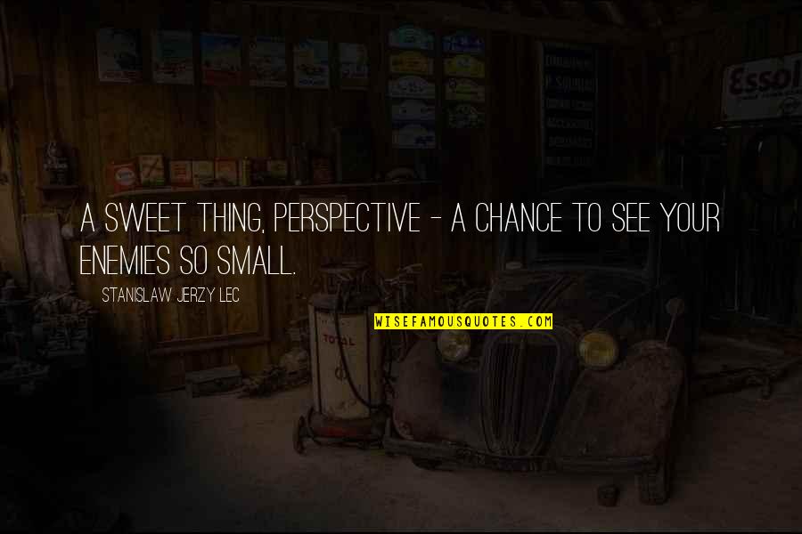 Small N Sweet Quotes By Stanislaw Jerzy Lec: A sweet thing, perspective - a chance to