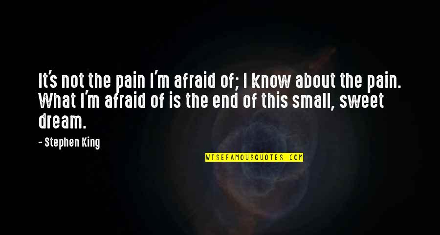 Small N Sweet Quotes By Stephen King: It's not the pain I'm afraid of; I Small N Sweet Quotes By Stephen King: It's not the pain I'm afraid of; I