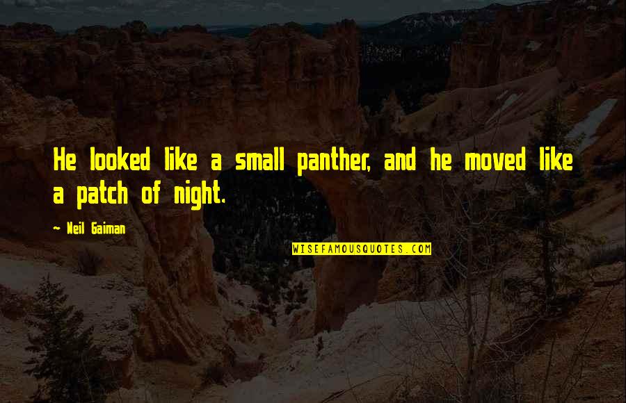 Small Night Quotes By Neil Gaiman: He looked like a small panther, and he