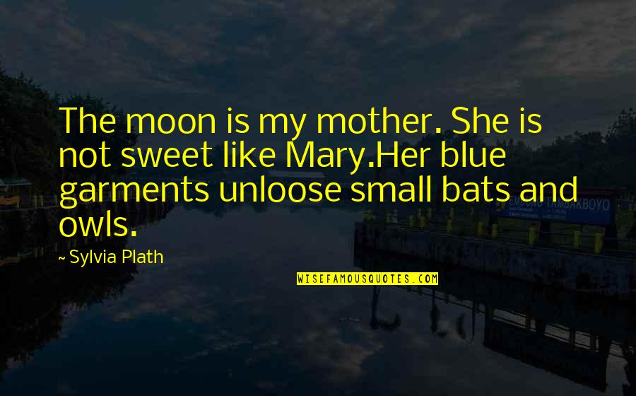 Small Night Quotes By Sylvia Plath: The moon is my mother. She is not