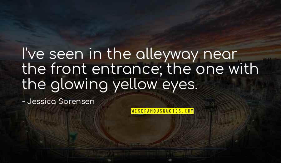 Small Novel Quotes By Jessica Sorensen: I've seen in the alleyway near the front