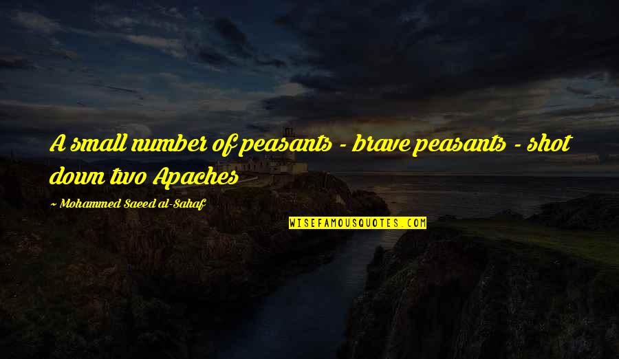 Small Numbers Quotes By Mohammed Saeed Al-Sahaf: A small number of peasants - brave peasants
