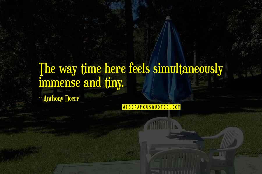 Small Patio Quotes By Anthony Doerr: The way time here feels simultaneously immense and Small Patio Quotes By Anthony Doerr: The way time here feels simultaneously immense and