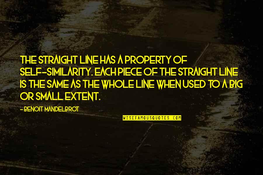 Small Piece Quotes By Benoit Mandelbrot: The straight line has a property of self-similarity.