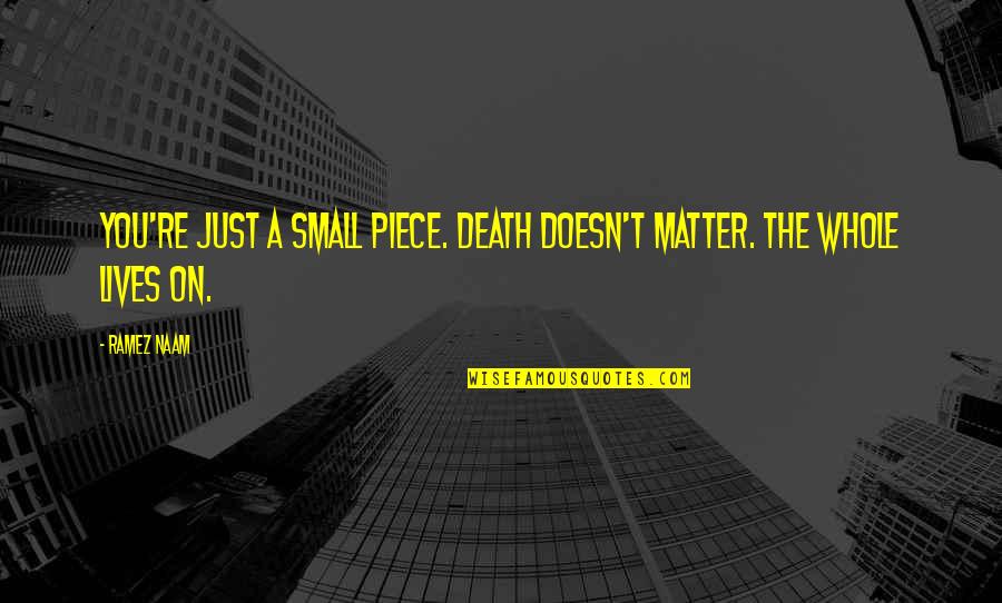 Small Piece Quotes By Ramez Naam: You're just a small piece. Death doesn't matter.