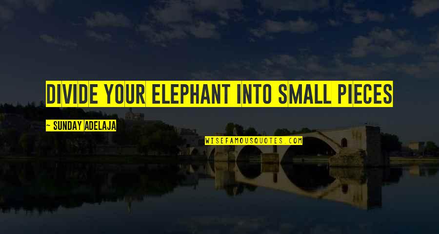 Small Pieces Quotes By Sunday Adelaja: Divide your elephant into small pieces
