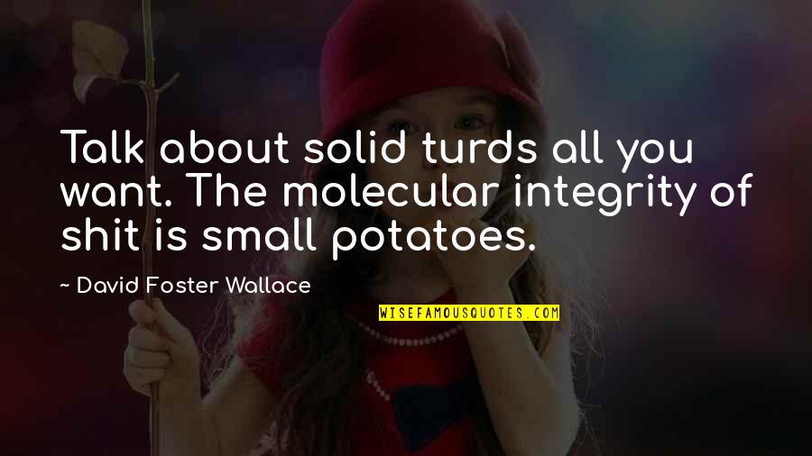 Small Talk Quotes By David Foster Wallace: Talk about solid turds all you want. The