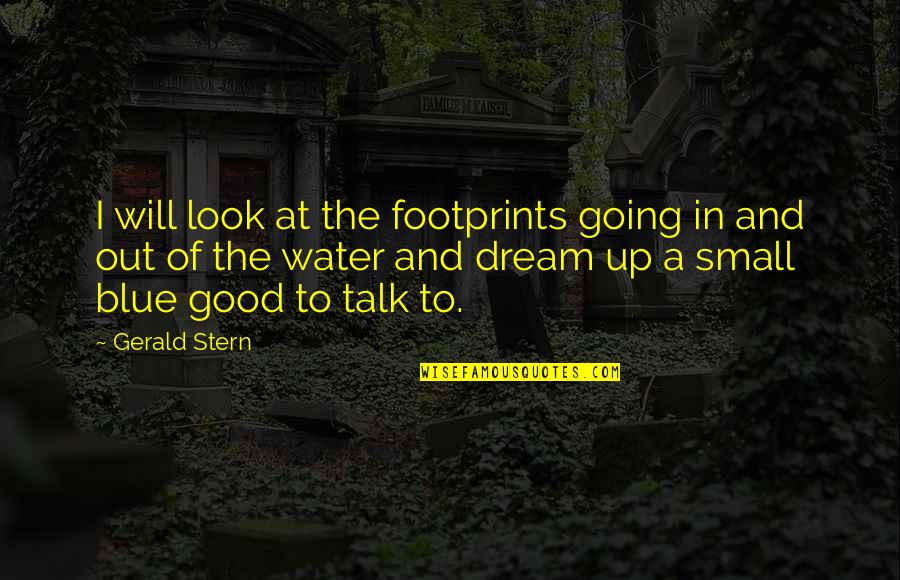 Small Talk Quotes By Gerald Stern: I will look at the footprints going in